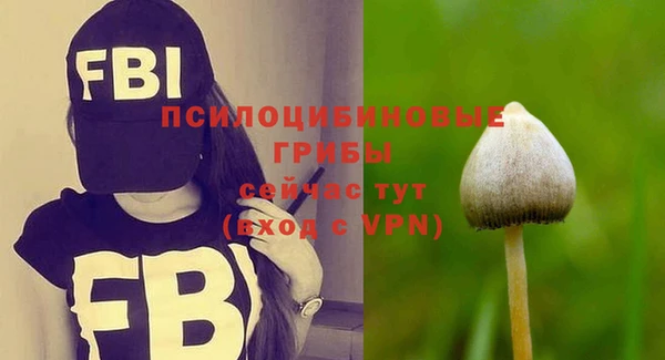 бошки Волосово